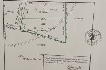 Tanah Kebun Durian Raub Pahang