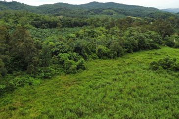 Kampung Sungai Pening