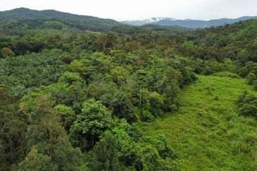 Kampung Sungai Pening