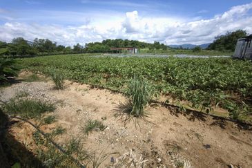 Tanah Pertanian Beranang Tengah