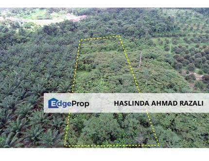 2 Ekar Nilai Perdana Untuk Di Jual, Negeri Sembilan, Nilai
