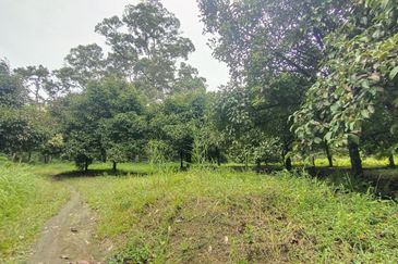 Kampung Sungai Lui