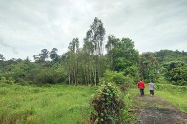 Kampung Sungai Lui