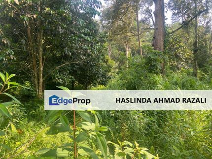 Tanah 3.125 Ekar Sungai Lui Hulu Langat, Selangor, Hulu Langat