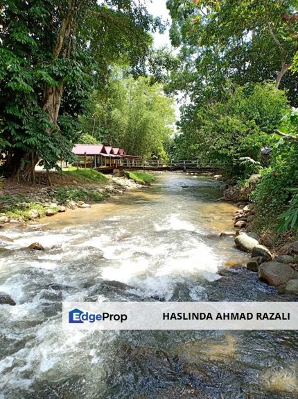 Sungai Kuali Janda Baik Bentong Pahang, Pahang, Bentong