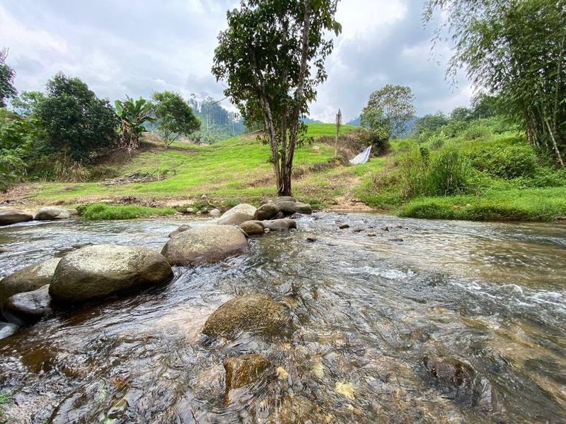 Tanah Janda Baik Chemperoh, Pahang, Bentong