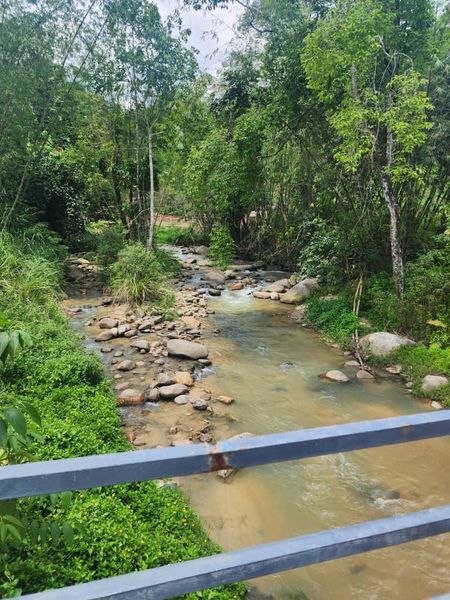 Tanah Janda Baik Chemperoh, Pahang, Bentong