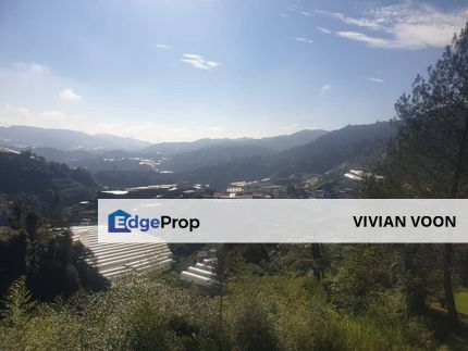 FREEHOLD CAMERON HIGHLANDS near BOH Tea Farm Sunset View, Pahang, Brinchang