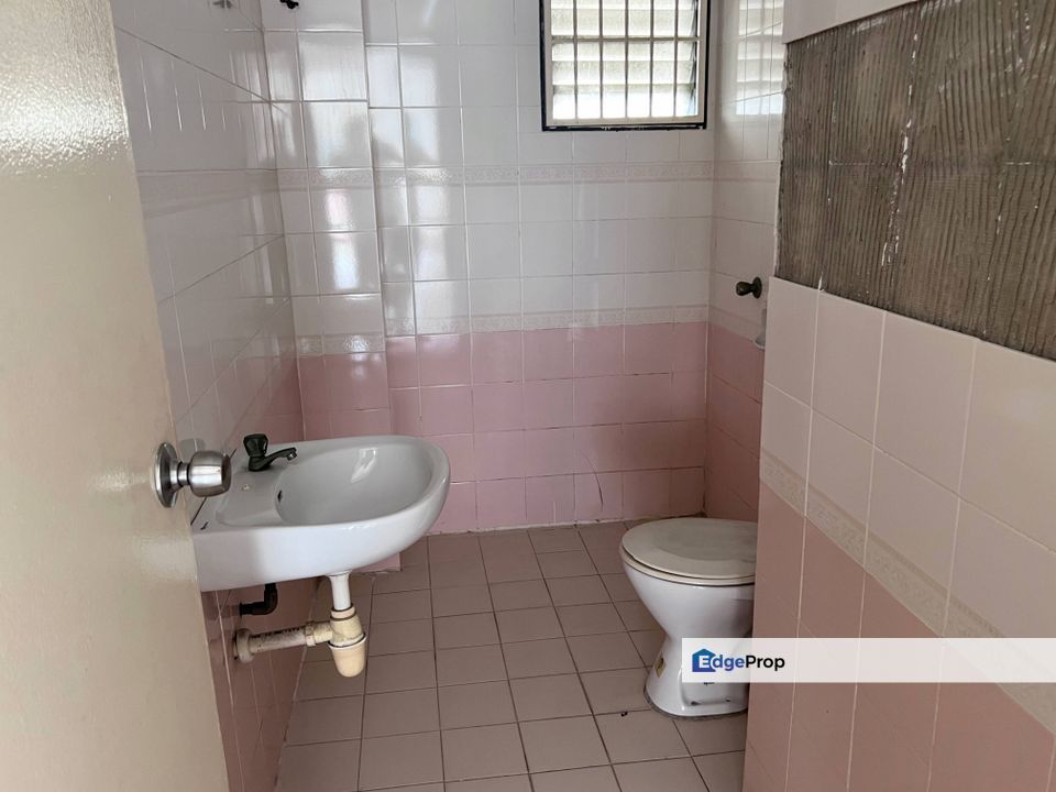 [NICE KITCHEN + GOOD CONDITION + NEAR FIELD] Anggerik Doritis, Kota Kemuning, Oncidium, Selangor, Kota Kemuning