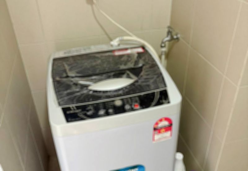 Paloma @ Tropicana Metropark