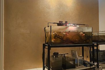 [G&G + RENO EXTEND] 2 Storey Terraced Indah Residences Kemuning Utama