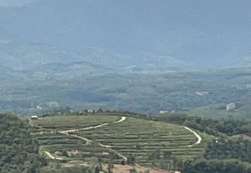 Salak Baru Perak Agriculture Land for Sale (the most cheap sale price in whole Malaysia)