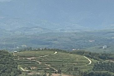 Salak Baru Perak Agriculture Land for Sale (the most cheap sale price in whole Malaysia)