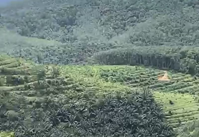 Salak Baru Perak Agriculture Land for Sale (the most cheap sale price in whole Malaysia)