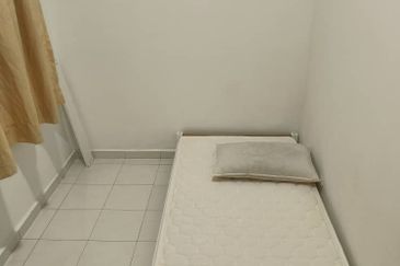 Taman Pinggiran Putra