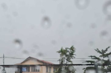 Bukit Gasing, Seksyen 5