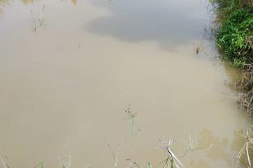 20 C (PEKAN SIMPANG PERTANG)