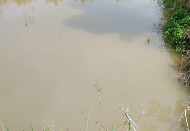 20 C (PEKAN SIMPANG PERTANG)