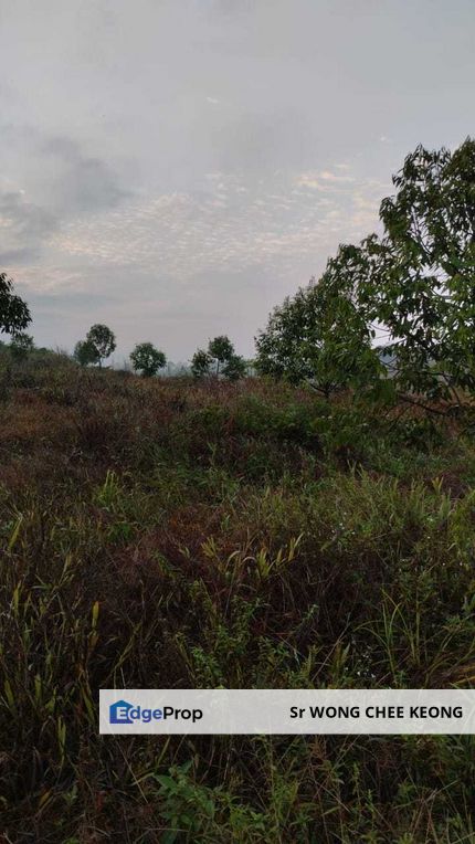 SIMPANG PERTANG AGRICULTURAL LAND FOR SALE, Negeri Sembilan, Jelebu