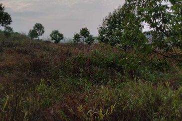 20 C (PEKAN SIMPANG PERTANG)