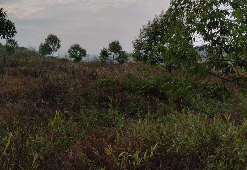 20 C (PEKAN SIMPANG PERTANG)