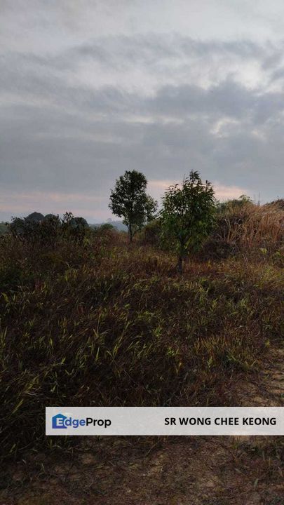 SIMPANG PERTANG AGRICULTURAL LAND FOR SALE, Negeri Sembilan, Jelebu