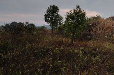 20 C (PEKAN SIMPANG PERTANG)