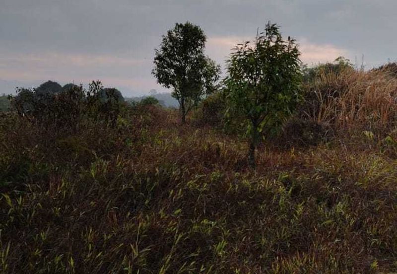 20 C (PEKAN SIMPANG PERTANG)