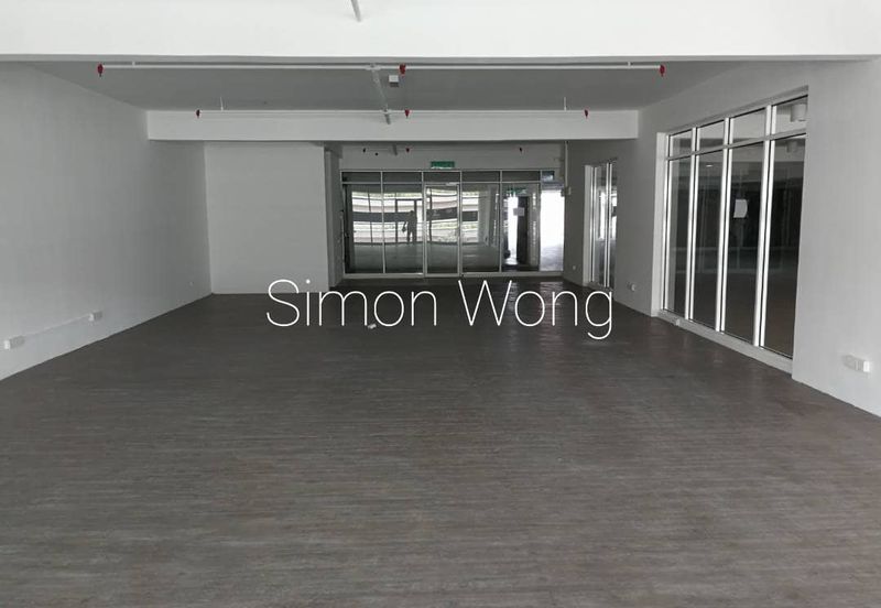 Platinum Mondrian (Pv128)