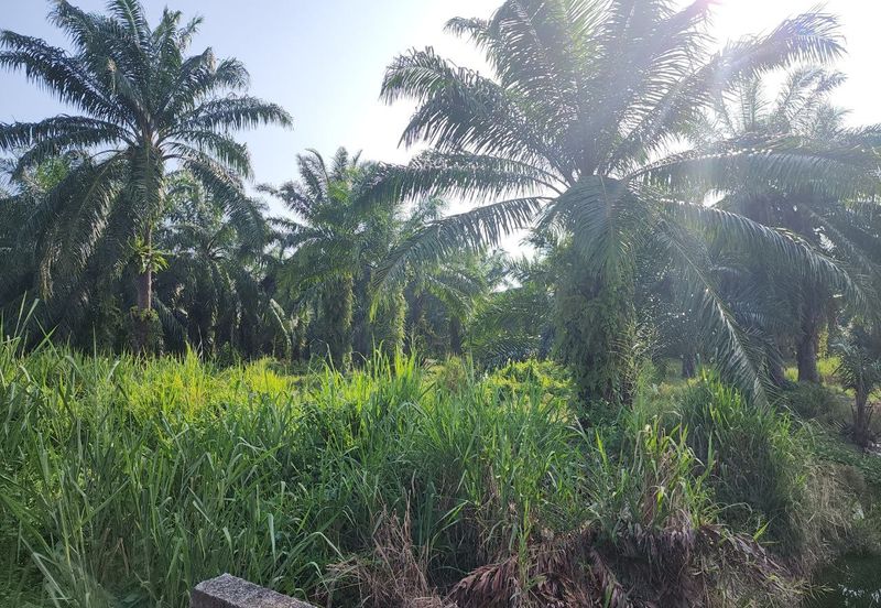 Banting @ Industrial