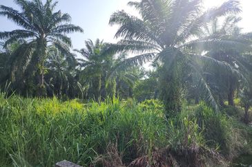 Banting @ Industrial