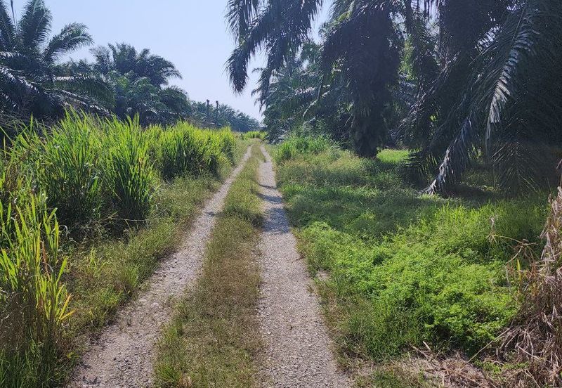 Banting @ Industrial