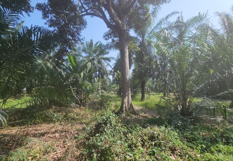 Banting @ Industrial