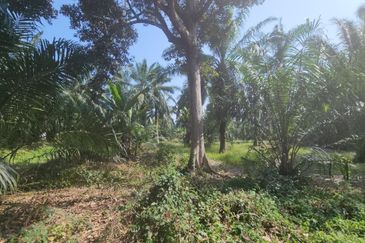 Banting @ Industrial