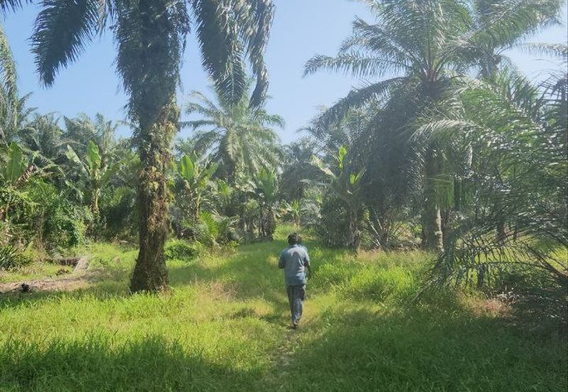 Banting @ Industrial