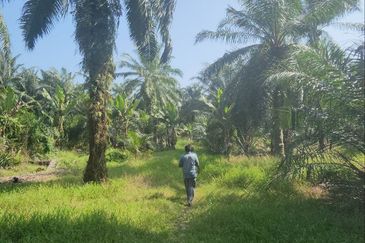 Banting @ Industrial