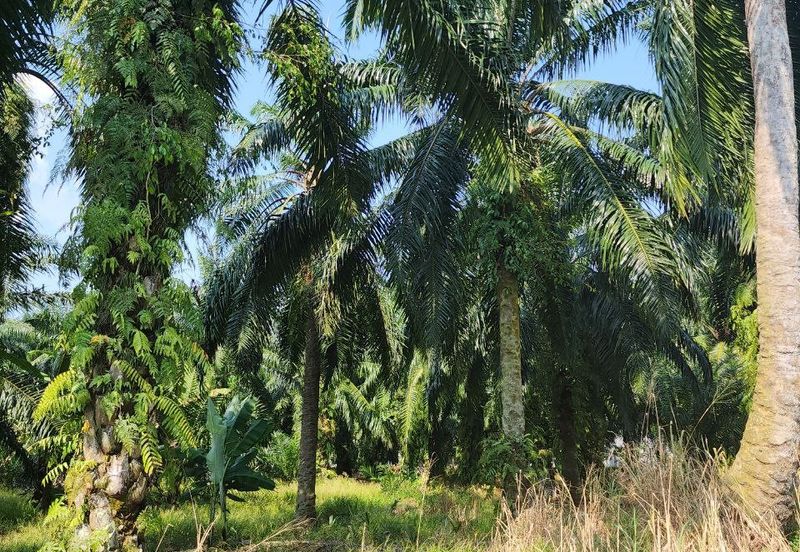 Banting @ Industrial