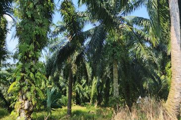 Banting @ Industrial