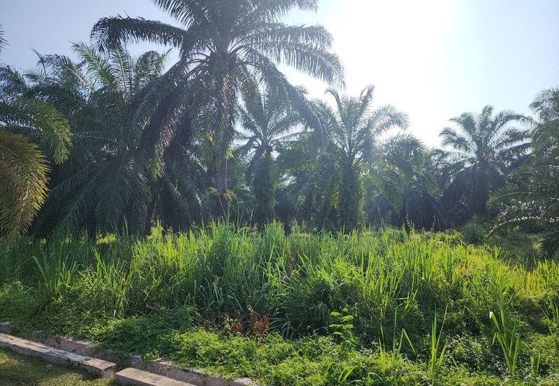 Banting @ Industrial