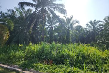 Banting @ Industrial