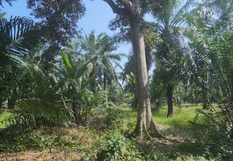 Banting @ Industrial