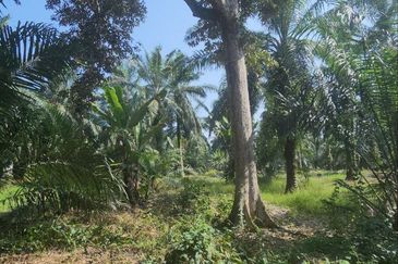 Banting @ Industrial