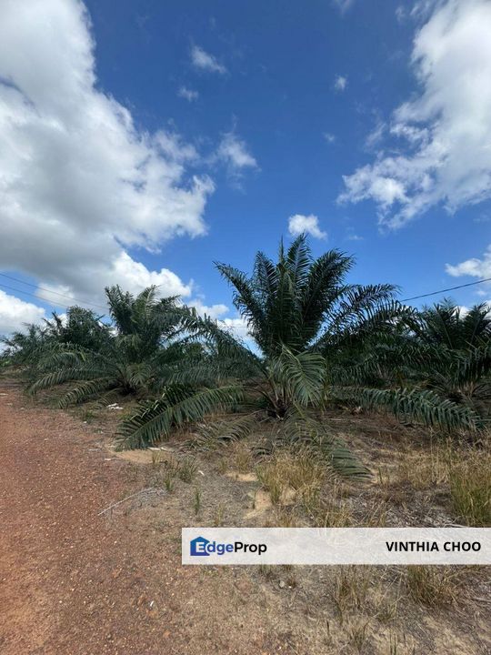 Kota Tinggi Agriculture Land — For Sale, Johor, Ulu Tiram