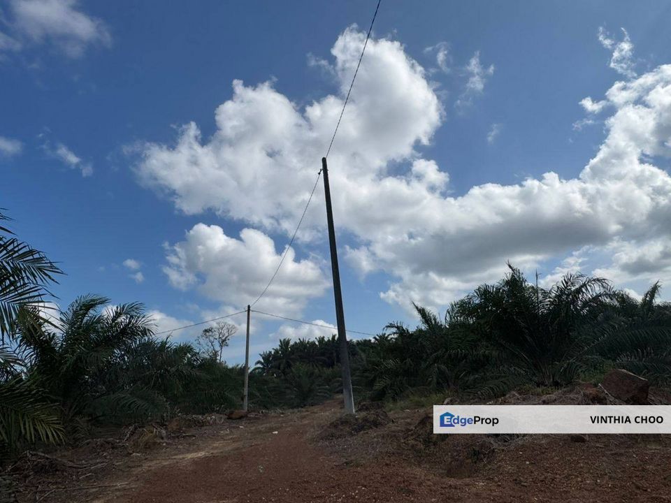 Kota Tinggi Agriculture Land — For Sale, Johor, Ulu Tiram