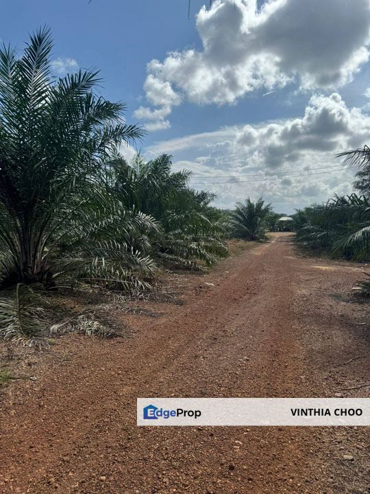 Kota Tinggi Agriculture Land — For Sale, Johor, Ulu Tiram