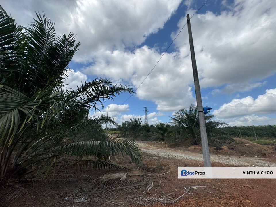 Kota Tinggi Agriculture Land — For Sale, Johor, Ulu Tiram