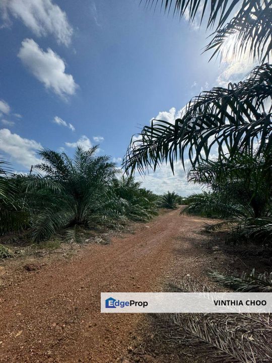 Kota Tinggi Agriculture Land — For Sale, Johor, Ulu Tiram