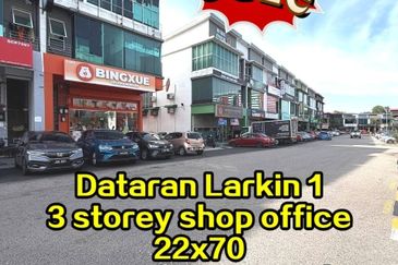 Taman Larkin