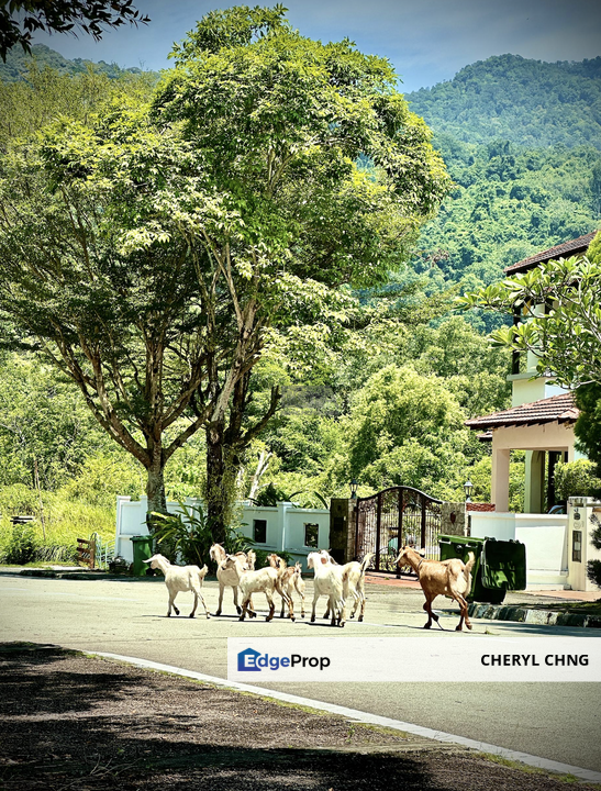 Bungalow Land at Jalan Sungei Emas 3, Penang, Batu Ferringhi