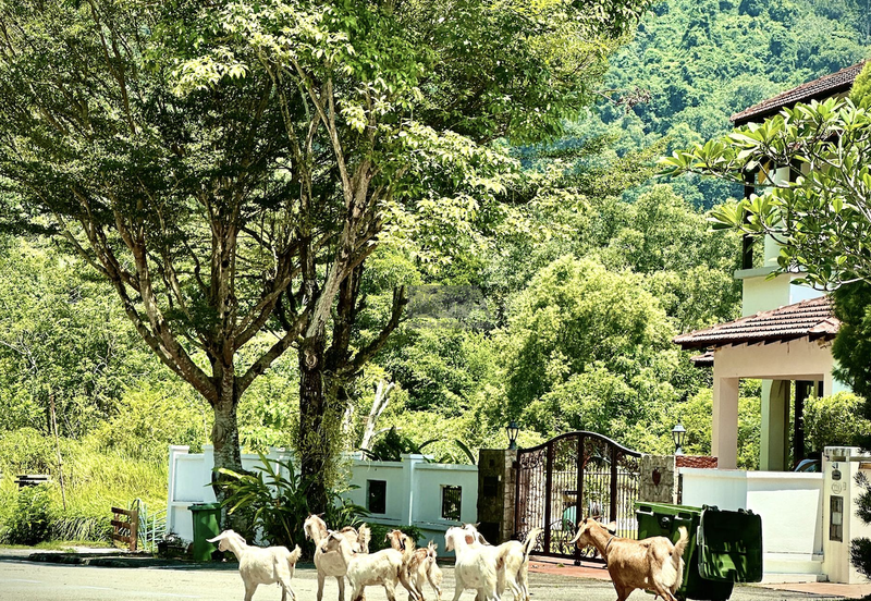 Bungalow Land at Jalan Sungei Emas 3